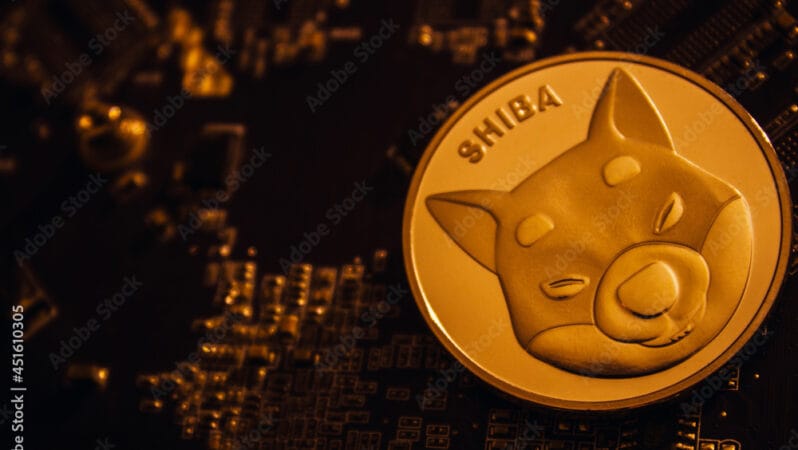 Shiba Inu Millionaire Numbers Fall Below 1,000 After Market Crash, How Much Do They Control?